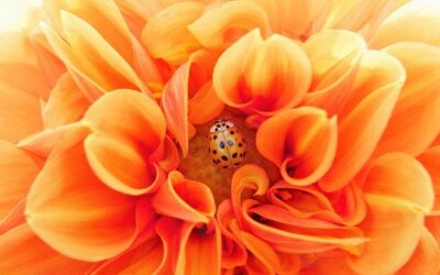 Fertility – an overview of initial investigations