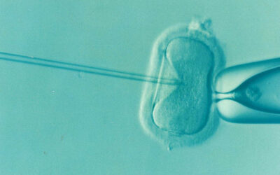 What is IVF?