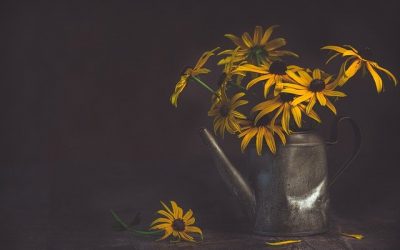 When pregnancy goes wrong