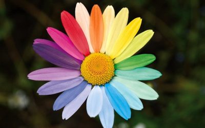 Fertility options for LGBTQ+ individuals and couples