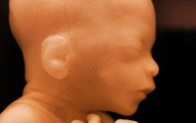 Can my baby hear us?