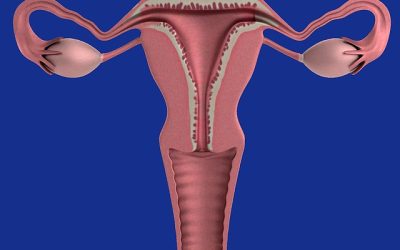 The Role of Ultrasound Scanning in Postmenopausal Women on Hormone Replacement Therapy (HRT)