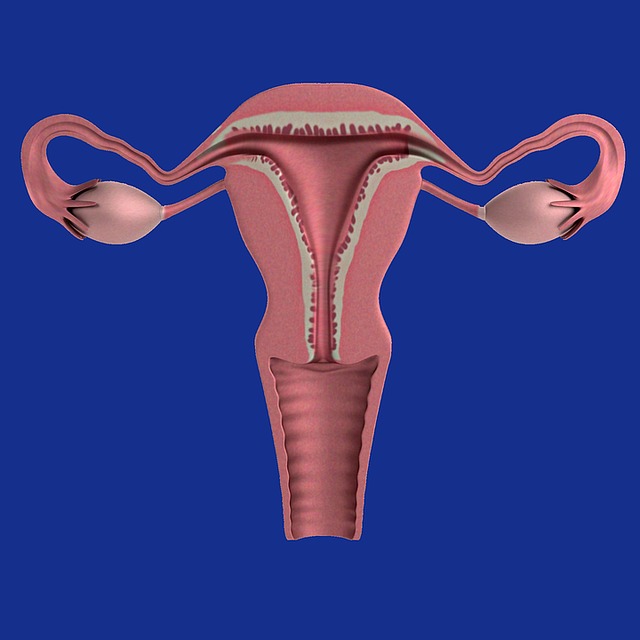 What is a retroverted uterus and how might it affect me?