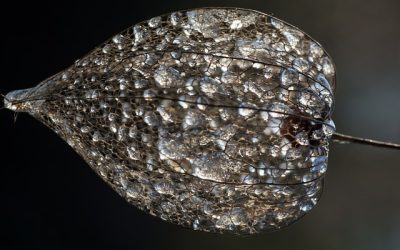 Pelvic Floor exercises and why they are important